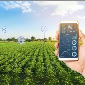 Crop-Monitoring_7_11zon
