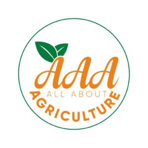 AAA logo 1