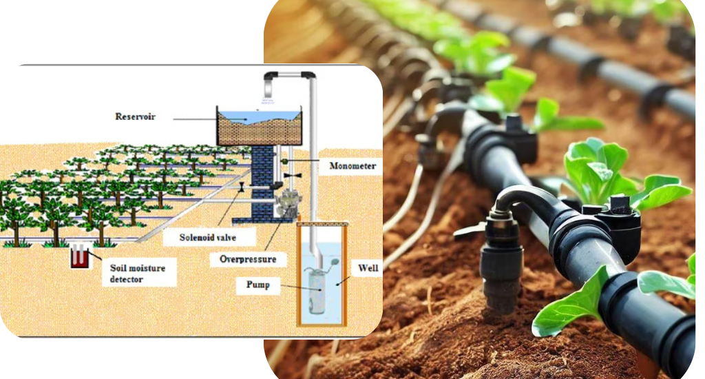 Irrigation-automation