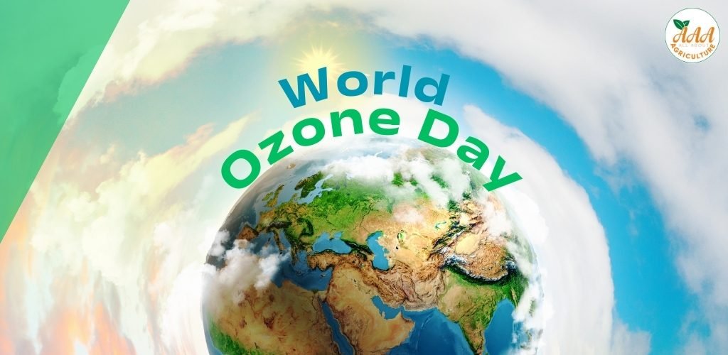 Ozone Day