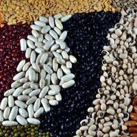 Pulses