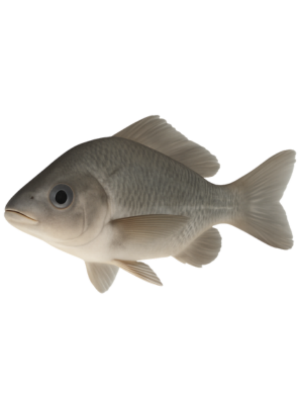 erfjepv