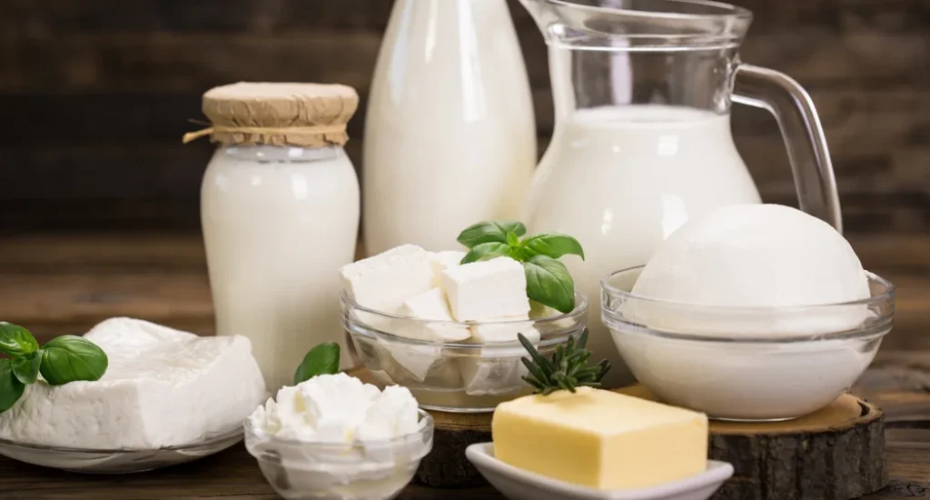 processing-differences-common-dairy-products